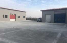 Hala cu posibilitate de showroom-comercial plus depozitare