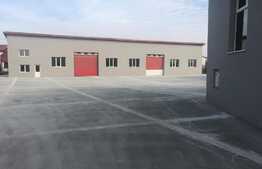 Hala cu posibilitate de showroom-comercial plus depozitare