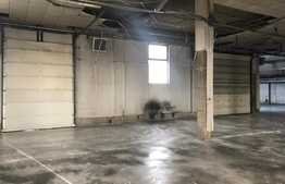 Hala cu posibilitate de showroom-comercial plus depozitare