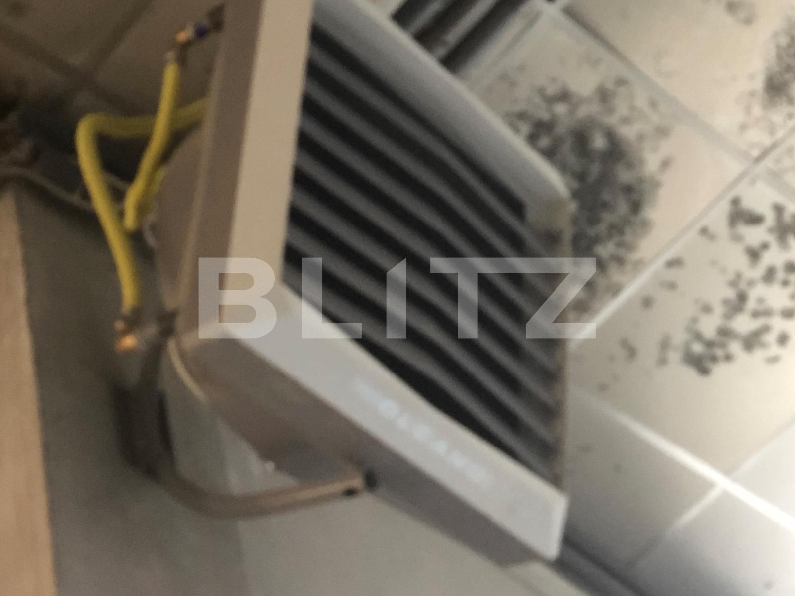 Spațiu industrial de închiriat Someseni - 48460SII | BLITZ Cluj-Napoca | Poza2