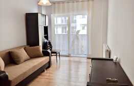 Apartament cu o camera, 45 mp, terasa, totul nou, zona Fabricii