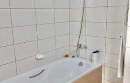 Apartament cu o camera, 45 mp, terasa, totul nou, zona Fabricii