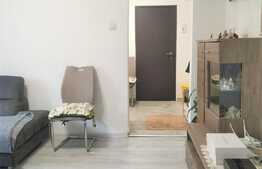 Apartament 3 camere, proaspat renovat, la cheie, zona Big