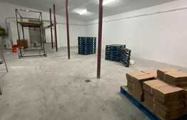 Hala industriala pretabila pentru depozitare, 250 mp, curte betonata ,acces TIR, zona OMV Floresti