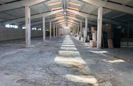 Hala industriala, 1900mp, ideala pentru productie si depozitare