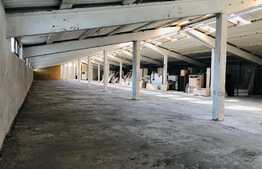 Hala industriala, 1900mp, ideala pentru productie si depozitare