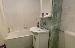 Garsoniera, 28 mp, A.C, pet friendly, balcon, zona Expo Transilvania