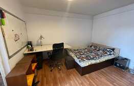 Garsoniera, 28 mp, A.C, pet friendly, balcon, zona Expo Transilvania