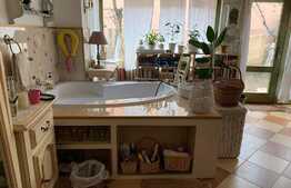 Casa traditionala in Vlaha!