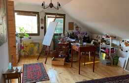 Casa traditionala in Vlaha!