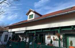 Casa traditionala in Vlaha!