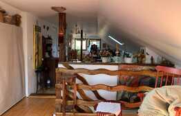 Casa traditionala in Vlaha!