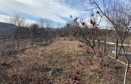 Casa traditionala in Vlaha!