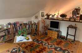 Casa traditionala in Vlaha!