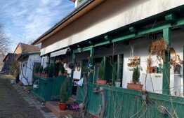 Casa traditionala in Vlaha!