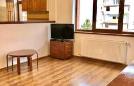 Apartament 1 camera, 48 mp, zona Sigma Center