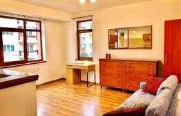 Apartament 1 camera, 48 mp, zona Sigma Center