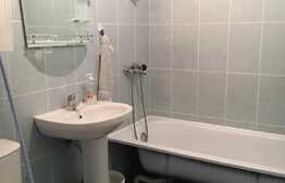 1 camera, 38 mp, zona strazii Eroilor! Pet friendly!