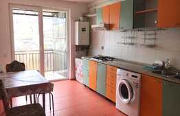 1 camera, 38 mp, zona strazii Eroilor! Pet friendly!