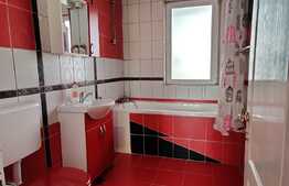 2 camere, 52 mp, gradina 30 mp, zona strazii Eroilor