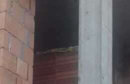 Duplex 140 mp, teren 290 mp, zona de case!