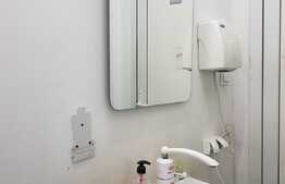 Spatiu comercial, 220 mp,  Vitrina imensa, zona cu vad, activitate comerciala neintrerupta in ultimii 10 ani