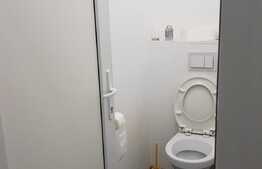 Spatiu comercial, 220 mp,  Vitrina imensa, zona cu vad, activitate comerciala neintrerupta in ultimii 10 ani