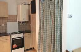 2 camere, 52 mp, zona strazii Muzeul Apei