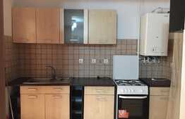 2 camere, 52 mp, zona strazii Muzeul Apei