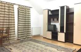 2 camere, 52 mp, zona strazii Muzeul Apei