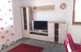 Apartament 2 camere, 50 mp, zona strazii Razoare