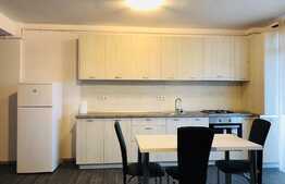 Apartament 2 camere, parcare, prima inchiriere, zona strazii Stejarului.