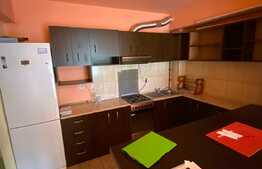 Apartament 2 camere, 55 mp, zona Porii