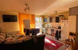 Apartament 2 camere, 43 mp, finisat, zona Eroilor