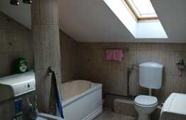 Casa cu 2 apartamente in zona ultracentrala