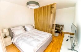 Apartament cu o camera mobilat lux, parcare, Complex Park Lake