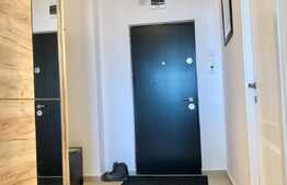 Apartament cu 2 camere, decomandat, 56 mp, prima inchiriere, zona strazii Brancusi