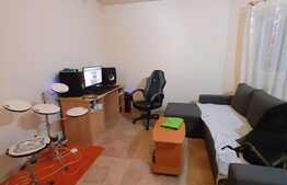 Apartament 2 camere, 48 mp, finisat, partial mobilat, zona Mihai Romanul