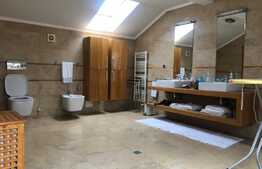 Penthouse de 180 mp, 3 camere, zona Iulius Mall!