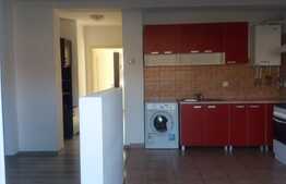 Apartament 2 camere, 45mp, loc parcare! Zona strazii Tineretului!