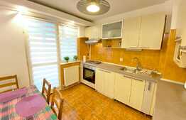 Apartament 2 camere, 55 mp, decomandat, zona Profi