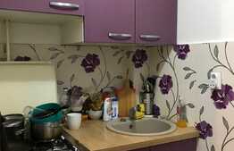 De vanzare, garsoniera 21 mp, zona strazii Fabricii