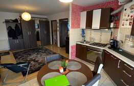 Apartament 2 camere, 44 mp, mobilat si utilat, zona Eroilor