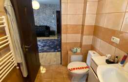 Apartament 2 camere, 44 mp, mobilat si utilat, zona Eroilor