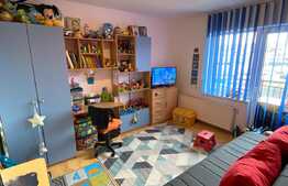 Apartament 2 camere, 44 mp, mobilat si utilat, zona Eroilor