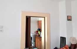 Oportunitate! De vanzare casa individuala zona Gradina Botanica!