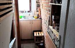 Oportunitate! De vanzare casa individuala zona Gradina Botanica!