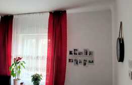 Oportunitate! De vanzare casa individuala zona Gradina Botanica!