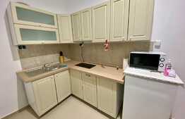 Apartament 3 camere, 60 mp, prima inchiriere, curte, loc de parcare zona Garii