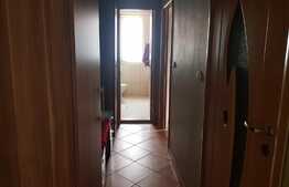 Apartament 2 camere, 58mp, loc parcare! Zona strazii Tauti!